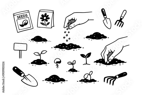 Hand planting process steps: seed, sprout, growth with tools