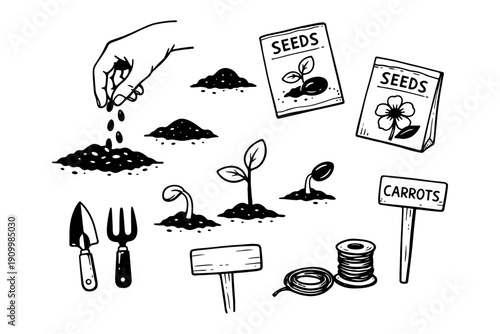 Hand planting seeds with gardening tools and growth stages
