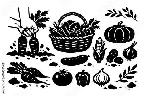 Black and white vegetable harvest illustration with basket and assorted produce