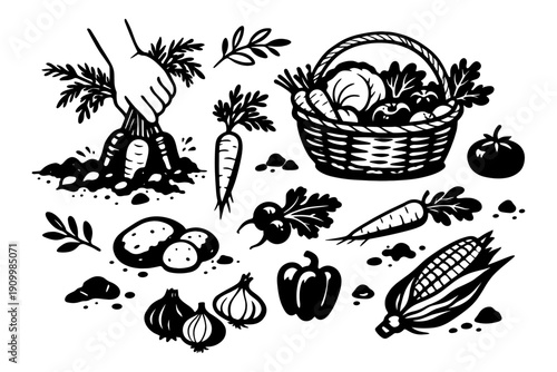Black and white illustration of harvest with vegetables and basket