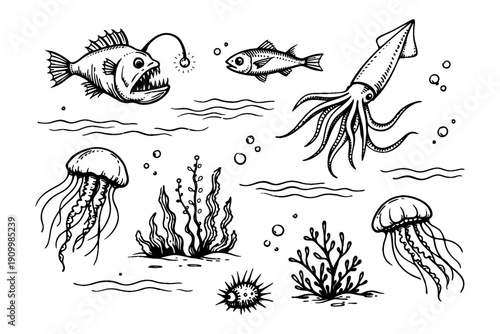 Hand-drawn sea life illustration featuring anglerfish, squid, jellyfish, and seaweed