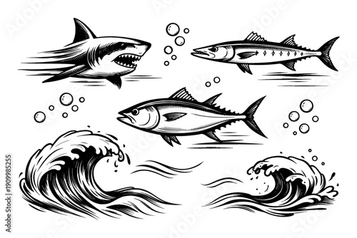 Black and white ocean creatures and waves: shark, barracuda, tuna