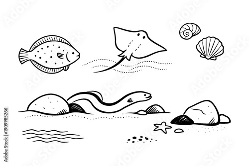 Marine life sketch with fish, stingray, shells, and rocks