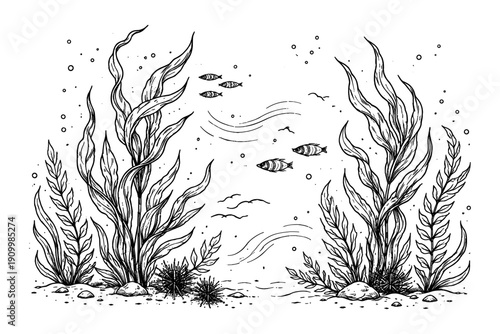 Detailed black and white underwater scene with seaweed and fish