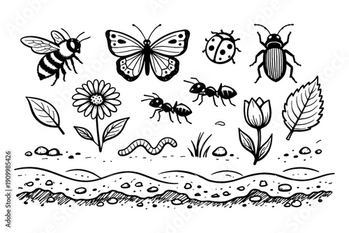Insects and nature elements: butterfly, bee, ladybug, beetle, flowers, ants, and worm