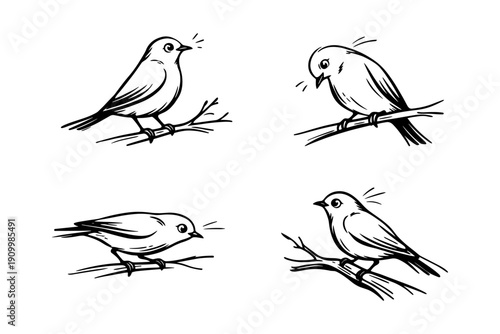 Set of four minimalist bird drawings on branches in various poses