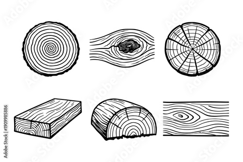 Wood grain patterns and cross sections illustration set