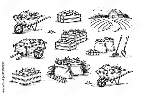Hand-drawn farm produce and tools with barn and field scene in black and white
