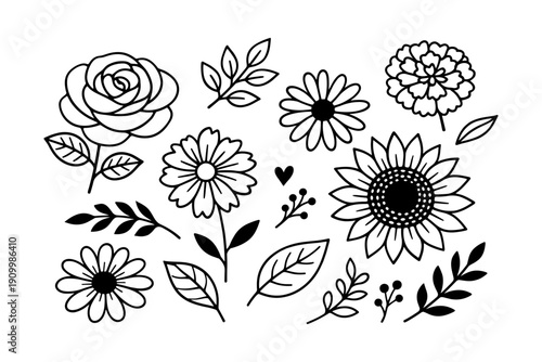 Black and white floral doodles featuring sunflowers and roses