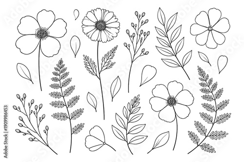 Black and white floral outline drawings of flowers and leaves