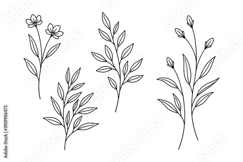 Elegant botanical line art with floral elements