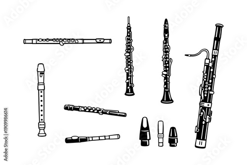 Collection of woodwind instruments: flute, clarinet, oboe, bassoon, recorder