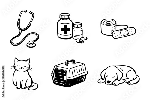 Veterinary supplies and pets: stethoscope, medication, bandages, cat, carrier, sleeping dog