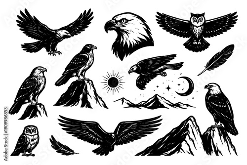 Monochrome birds of prey and mountain landscapes with eagles and owls