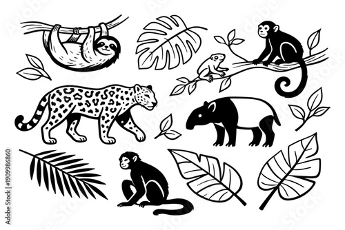 Jungle animals silhouette: monkey, sloth, leopard, tapir, jungle foliage