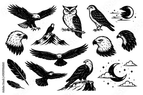 Eagle and owl illustrations with moon and feathers in black and white, various bird poses