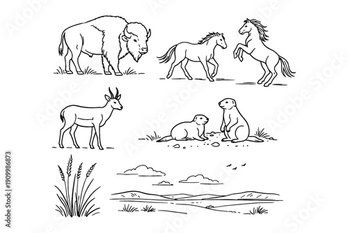 Wildlife scenes: bison, horses, antelope, prairie dogs, grass, landscape