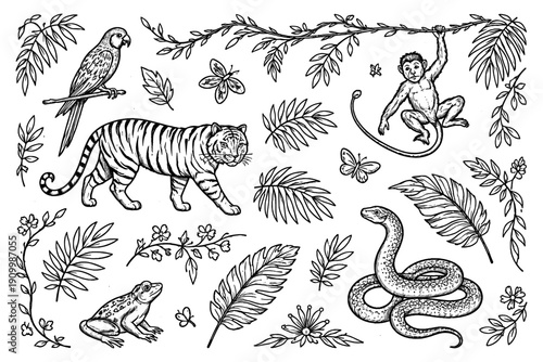 Black and white jungle wildlife illustration with tiger, snake, monkey, and parrot