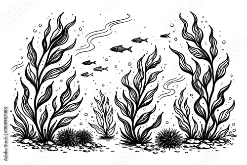 Underwater scene with seaweed and fish in black and white