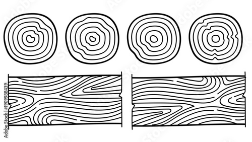 Wooden texture. Hand drawn wood tree rings. Graphics round, square elements, outline tree rings, stumps structure. Decorative nature cutting wood circle.