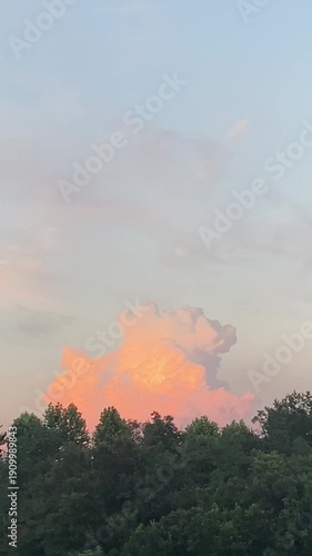 Sunset cloud in the sky with forest
