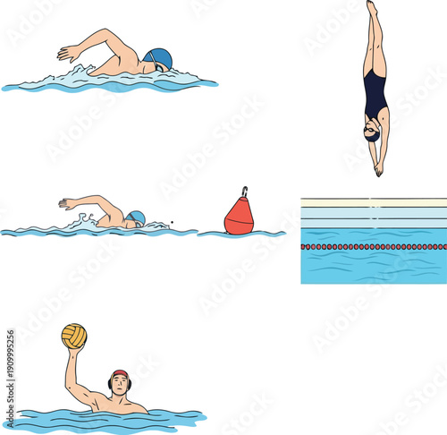 Diverse swimming and diving actions diverse sports activities including competitive swimming and athletic diving vector