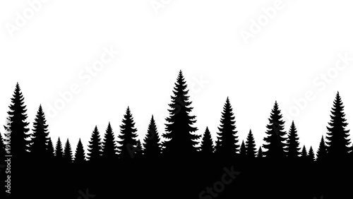 Silhouette of Pine Tree Forest Line.