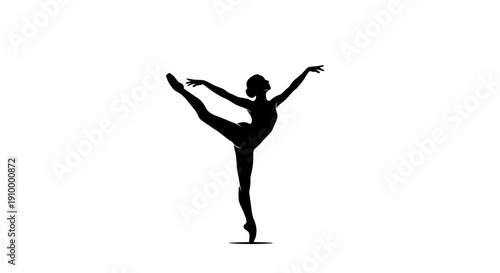Silhouette of Female Ballet Dancer.