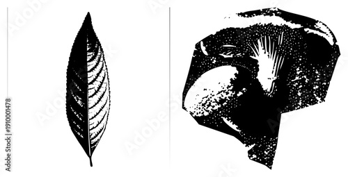 Black and white vector illustrations of leaf and mushroom, halftone texture, graphic design elements, botanical motifs, isolated foreground, artistic rendering.