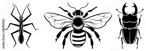 Black and white vector illustrations of assassin bug, honeybee, and stag beetle, minimalist style, isolated insect for design use.