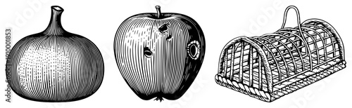 Classic engraved style fruit and basket, halftone shading, vintage botanical art, black and white drawing, food illustration, rustic design.