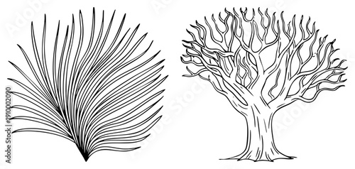 Vector of palm leaf and leafless tree, botanical illustration, nature sketch, minimalist design, black ink drawing, graphic element, eco.