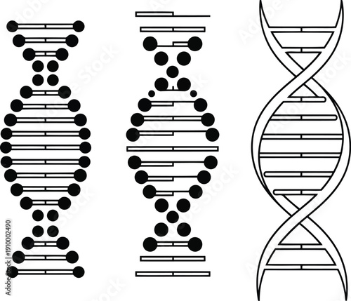 Abstract dna double helix structure medical science biotechnology genetics research illustration vector