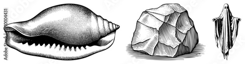 Hand drawn vintage illustrations of a, textured stone, and draped ghost, rendered in detailed hatching and stippling, classic engraving style.