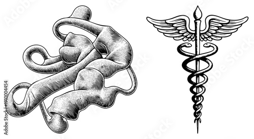 Classic medical symbol featuring winged staff with snakes, used in healthcare, hospitals, and medicine, often as logo or emblem.