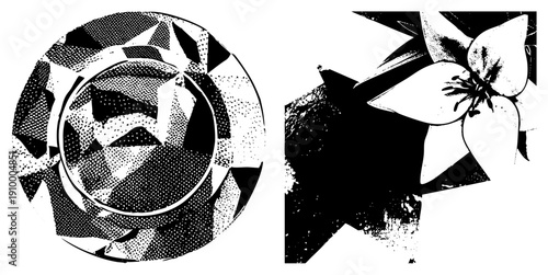 Black and white halftone graphic with geometric circle and stylized flower, vector art, bold shapes, graphic design, pop art influence.