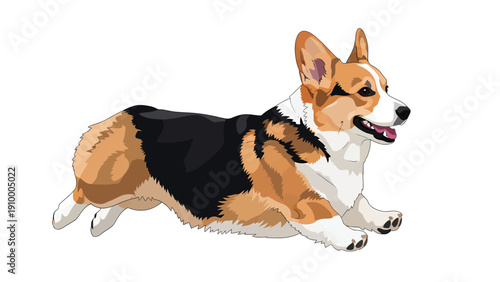 Running Pembroke Welsh Corgi dog illustration. Playful Corgi in motion, isolated vector art.