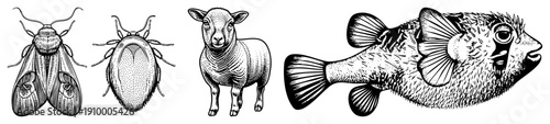Insect, sheep, and pufferfish rendered in intricate black and white art, halftone shading, vector graphic, isolated foreground elements.