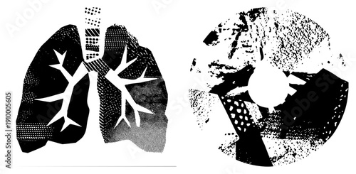Stylized lungs and brain with halftone shading, medical illustration, anatomical graphic, black and white vector art, isolated organs, respiratory and neural systems.