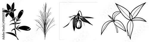Stylized plant silhouettes including bell shaped blooms, grasses, orchid like flowers, and leafy sprigs, rendered in clean black, ideal for graphic design or print.