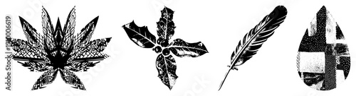 Four stylized vector ornate symmetrical flower, holly with berries, elegant feather, halftone droplet. Black and white graphic elements for design or print.