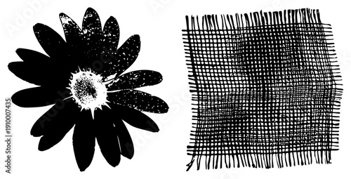 Stylized daisy flower with speckled center, paired with hand drawn grid fabric texture, vector art, graphic design elements.