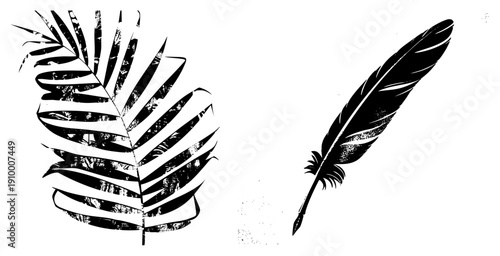 Black and white stylized fern frond and quill pen, distressed ink effect, artistic graphic elements, nature motifs, vector illustration.