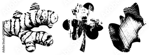 Stylized ginger root, clover leaf, and oak leaf rendered in halftone dot, vector art, botanical design elements, isolated foreground graphics.