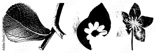 Vector botanical art featuring leaf and flower cutouts, halftone textures, design, nature motifs, plant illustrations, graphic elements.