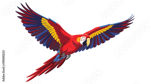 Vibrant Scarlet Macaw Parrot Flying - Tropical Bird Illustration