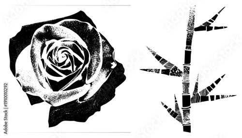 rose bloom and bamboo stalk rendered in halftone dot, vector art, botanical illustration, graphic design element, isolated foreground.