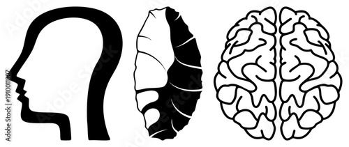 Silhouette of human head profile, ancient stone tool, detailed brain illustration, educational graphic, cognitive science set, black vector.