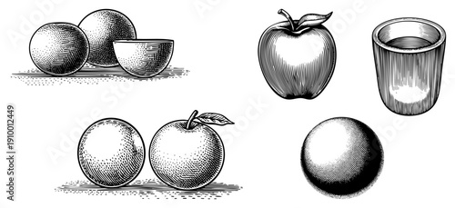 Classic engraved illustrations of, plums, and a glass, rendered with hatching and stippling, ideal for retro design or print.
