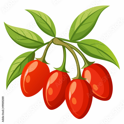 colorful illustration of a Goji Berries Flat Lay Top View